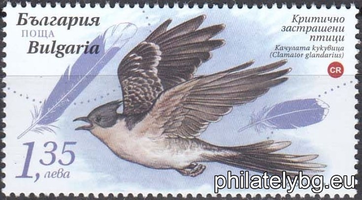 БК 5633