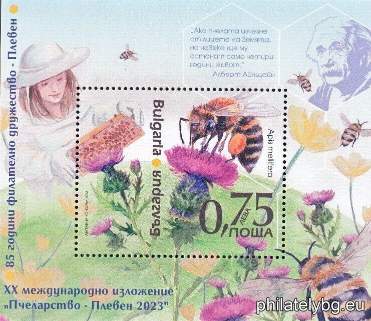 БК 5619