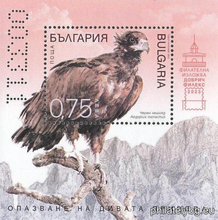 БК 5627UV