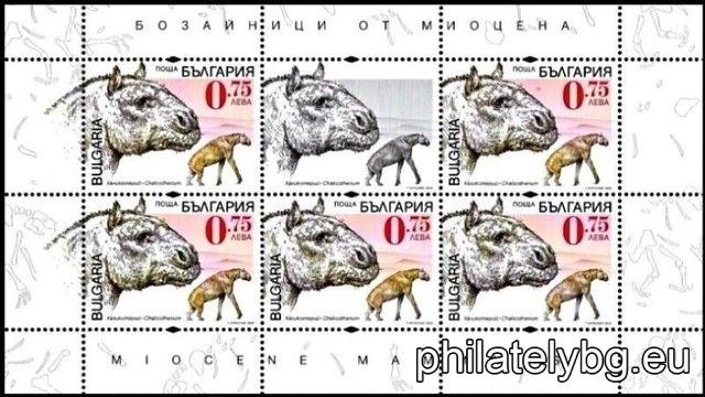 БК 5599