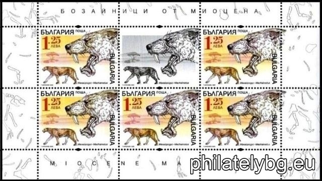 БК 5600