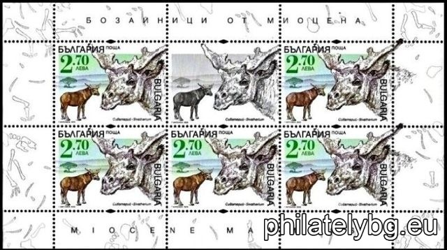 БК 5602