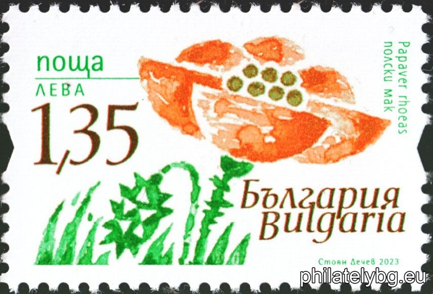 БК 5641