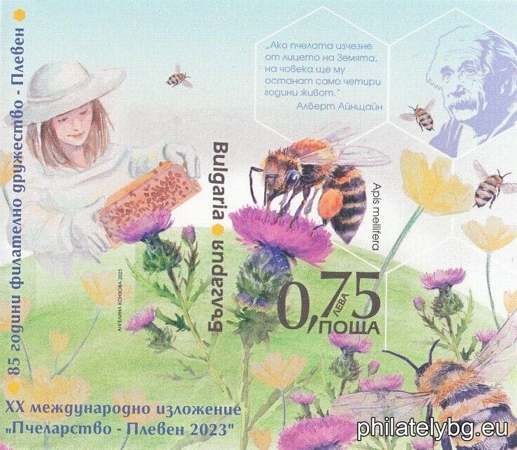 БК 5619UV