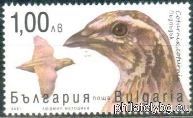 БК 5543