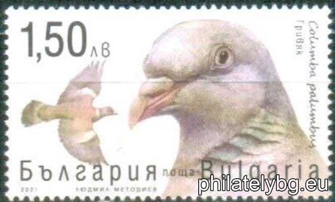 БК 5544