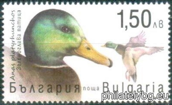 БК 5545