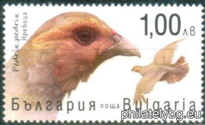 БК 5542