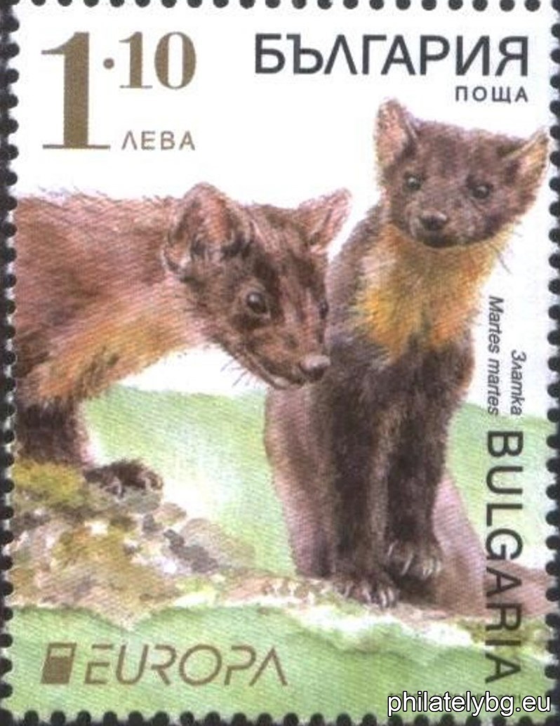 БК 5503