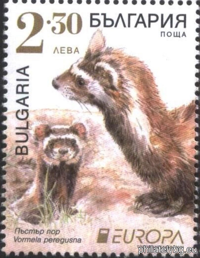 БК 5504