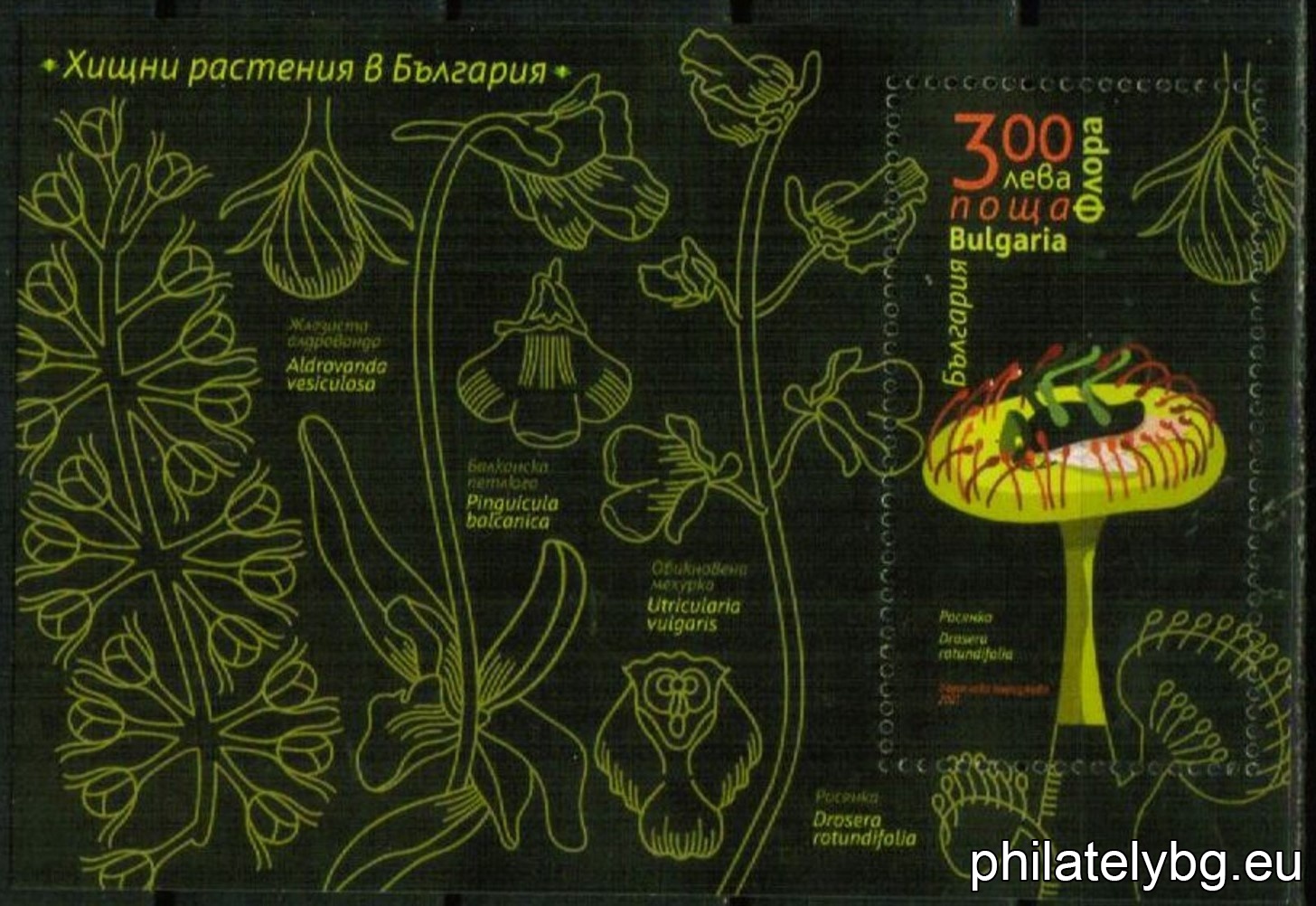 БК 5532