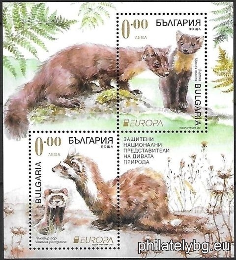 БК 5505-5506