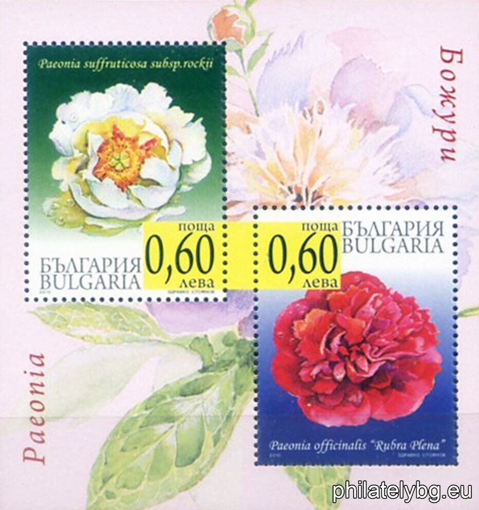БК 4921