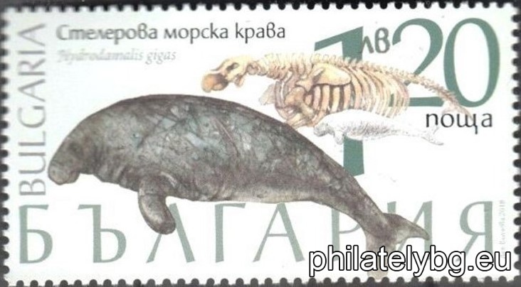 БК 5367