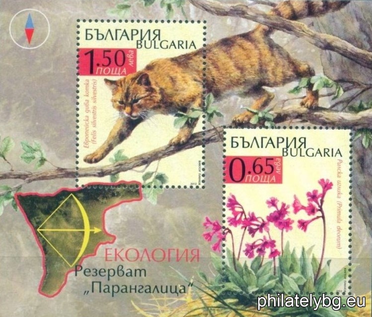 БК 5043