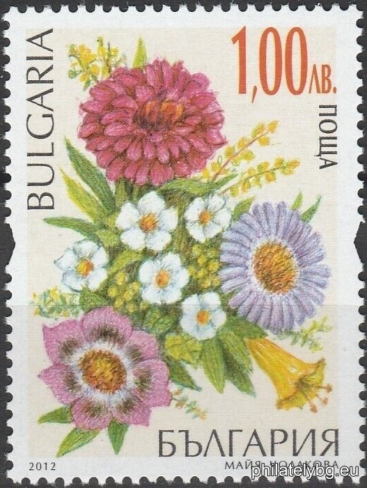 БК 5007