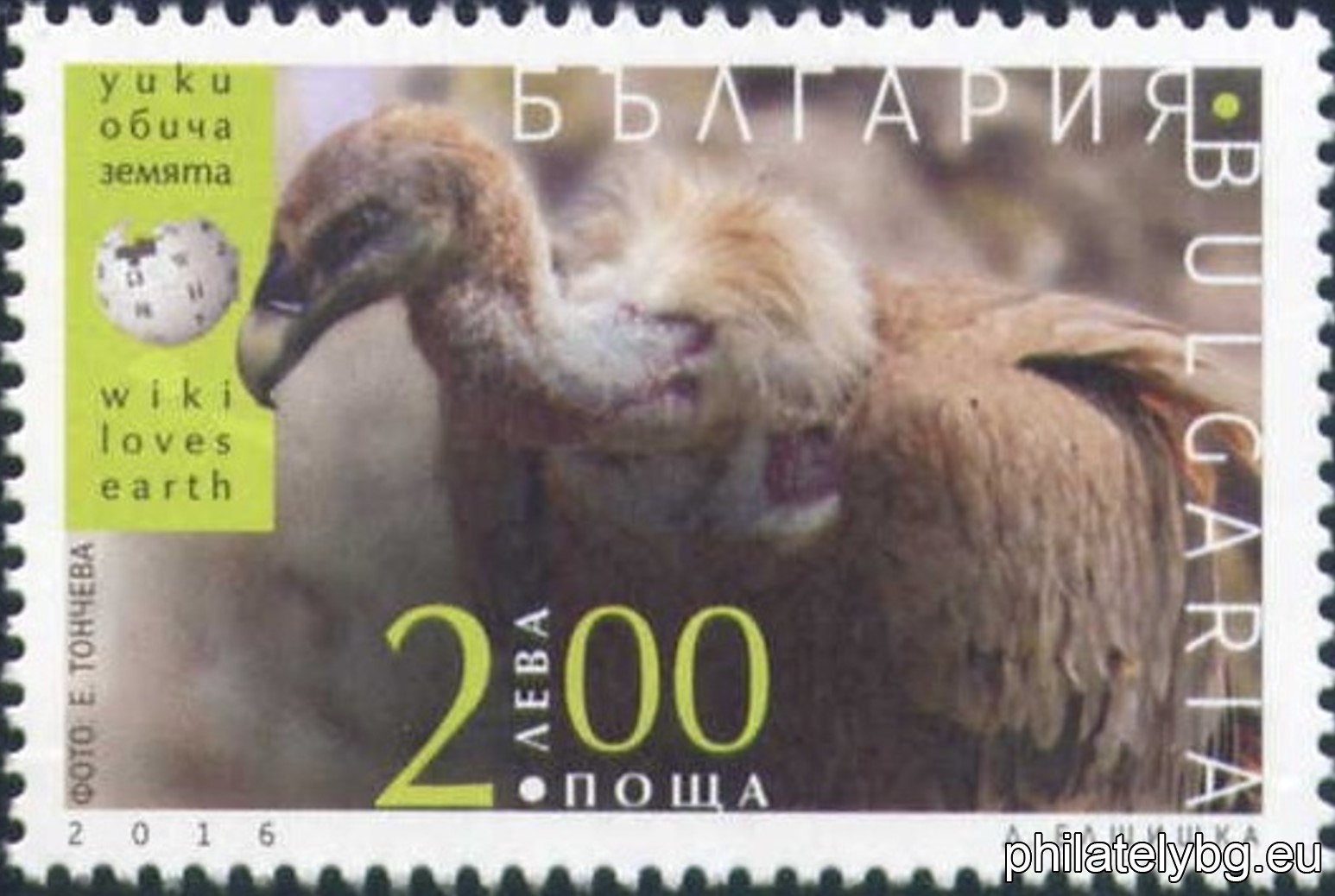 Диляна Атанасова - Елшишка