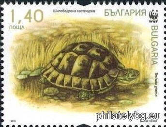 БК 5265
