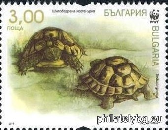 БК 5266