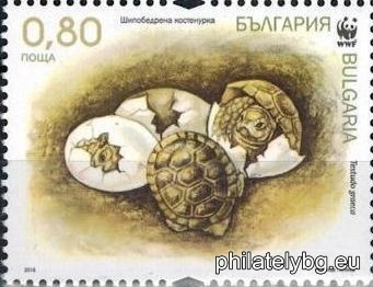 БК 5264