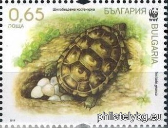 Деница Пенева