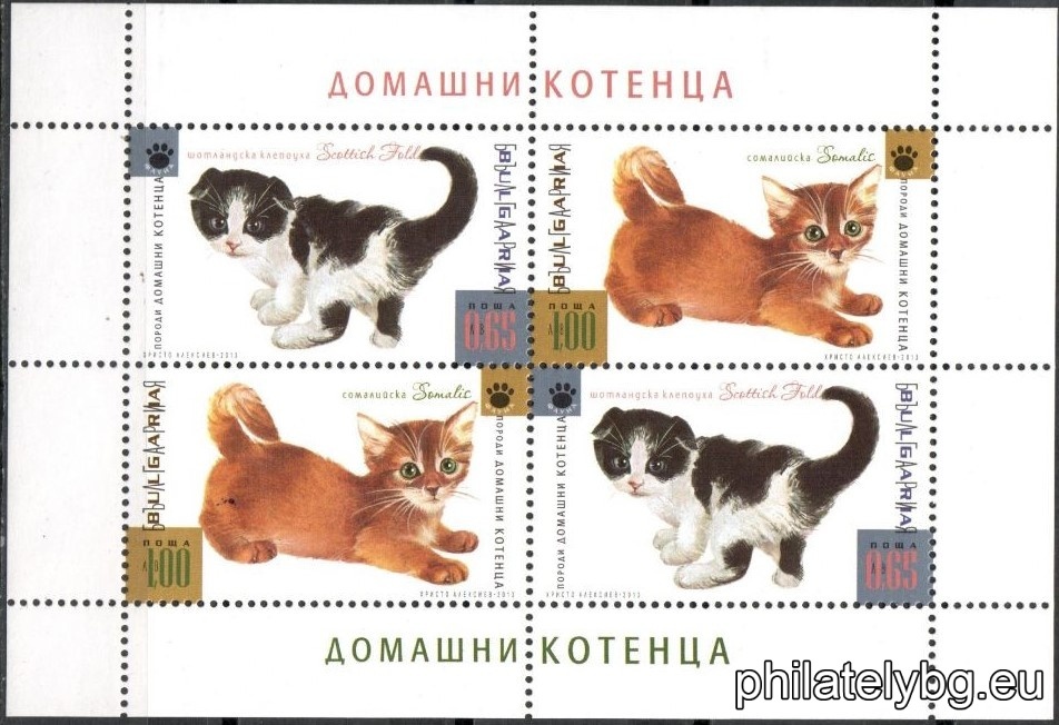БК 5102 и 5104