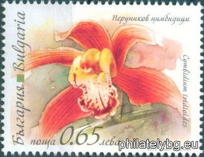 БК 5097