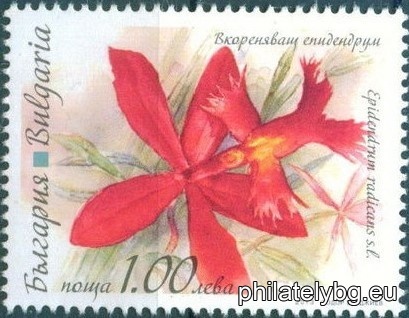 БК 5099