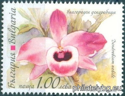 БК 5100