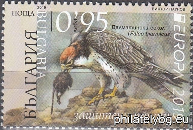БК 5398