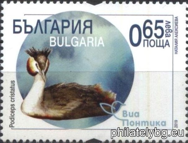 БК 5384