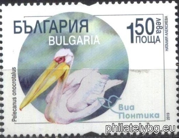 БК 5386
