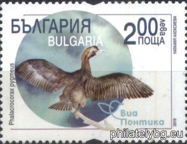 БК 5387