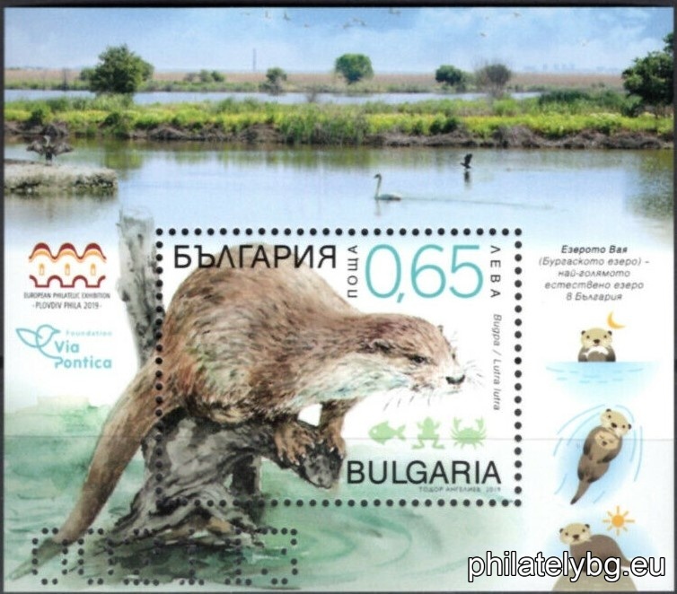 БК 5432