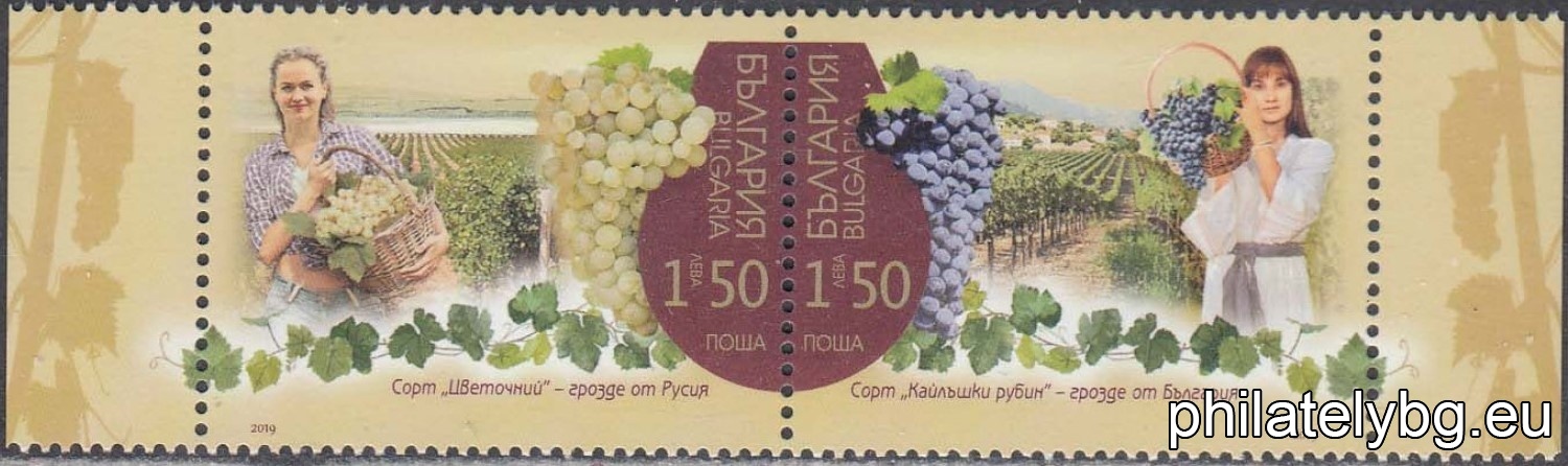 Орлин Вълчев