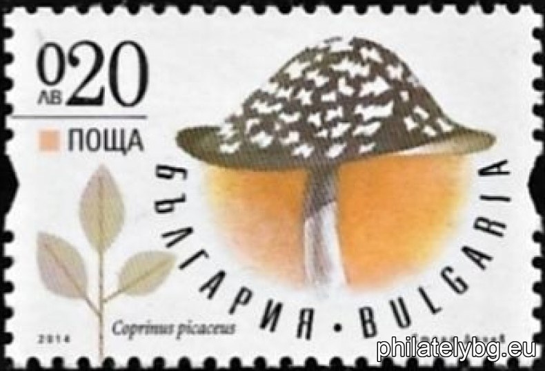 БК 5114