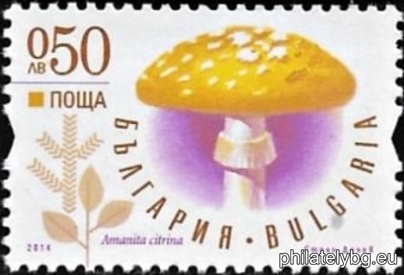 БК 5115