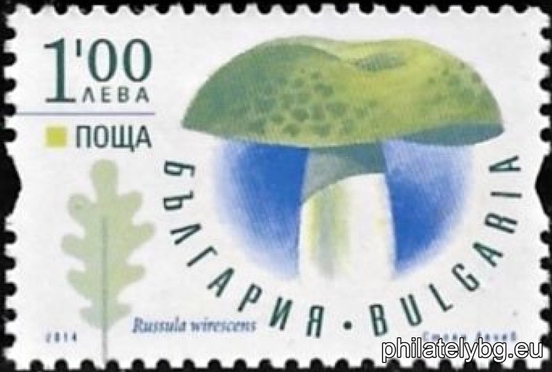БК 5116