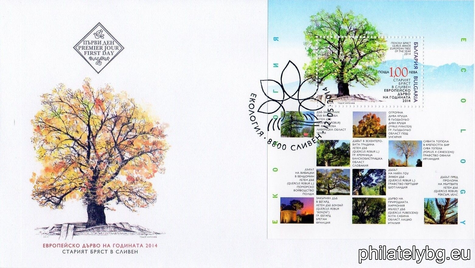 "Ecology - 2014" - block with one postage stamp and a special postmark.