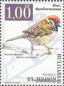 БК 5325