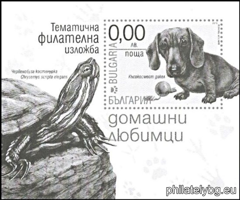 „ Тематична филателна изложба – домашни любимци “ – една пощенска марка в блок и специален пощенски печат.
