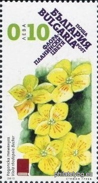 "Flora - Mountain Flowers" - four postage stamps and a special postage stamp.