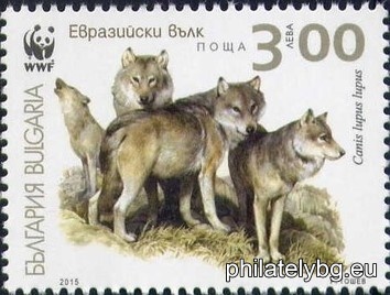 БК 5211