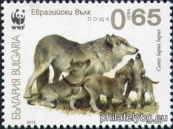 БК 5208