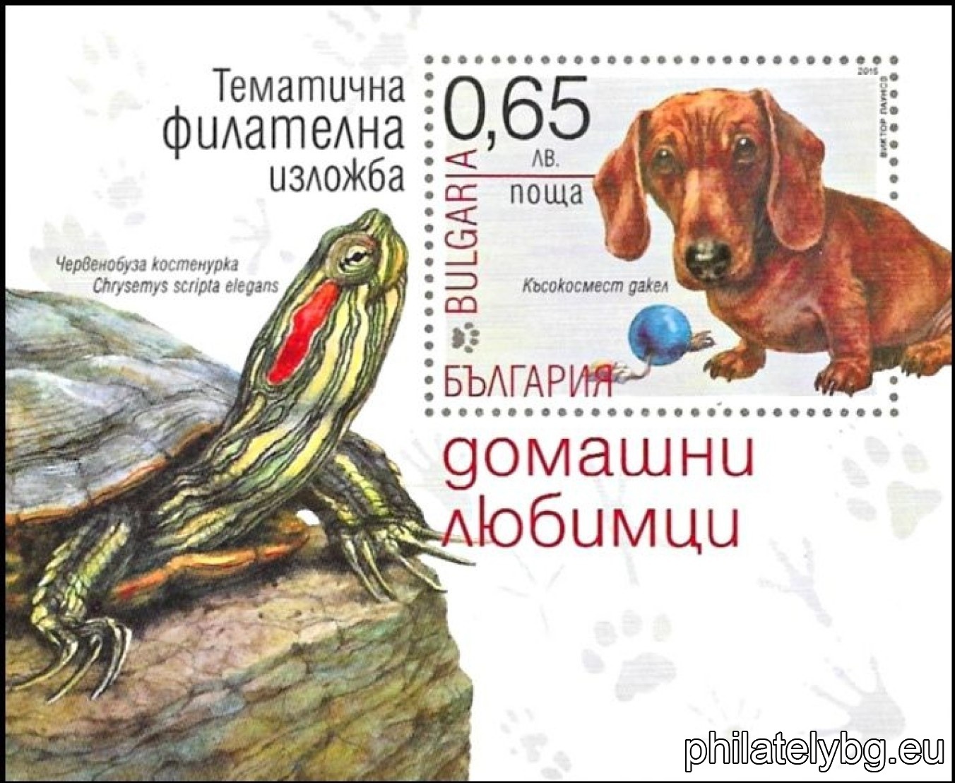 БК 5185