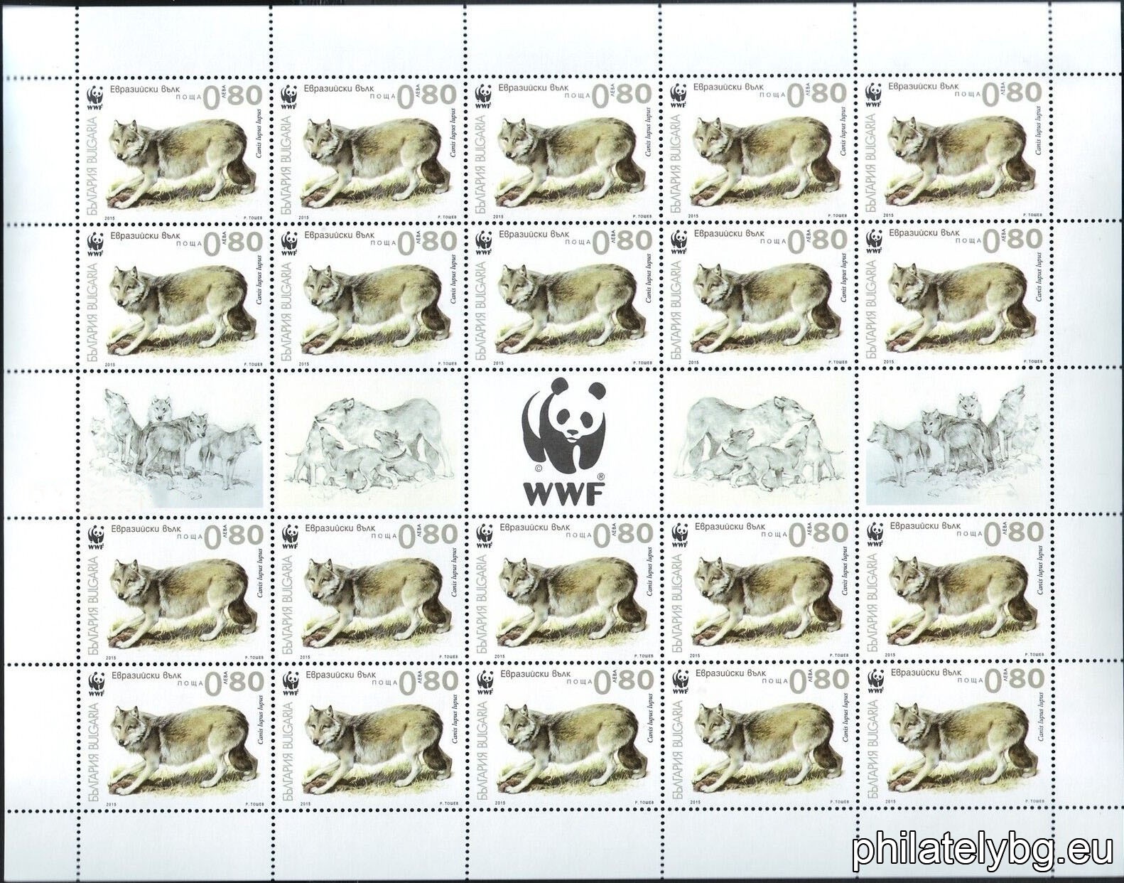 БК 5209