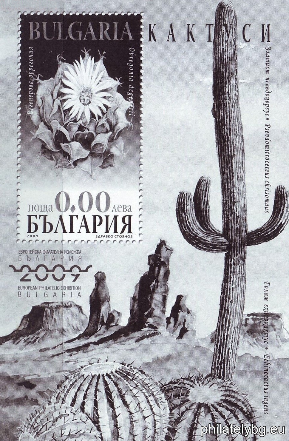 „ Европейска филателна изложба, "България 2009" (VIII), Кактуси “ - блок с една пощенска марка с имитирана перфорация и специален пощенски печат.