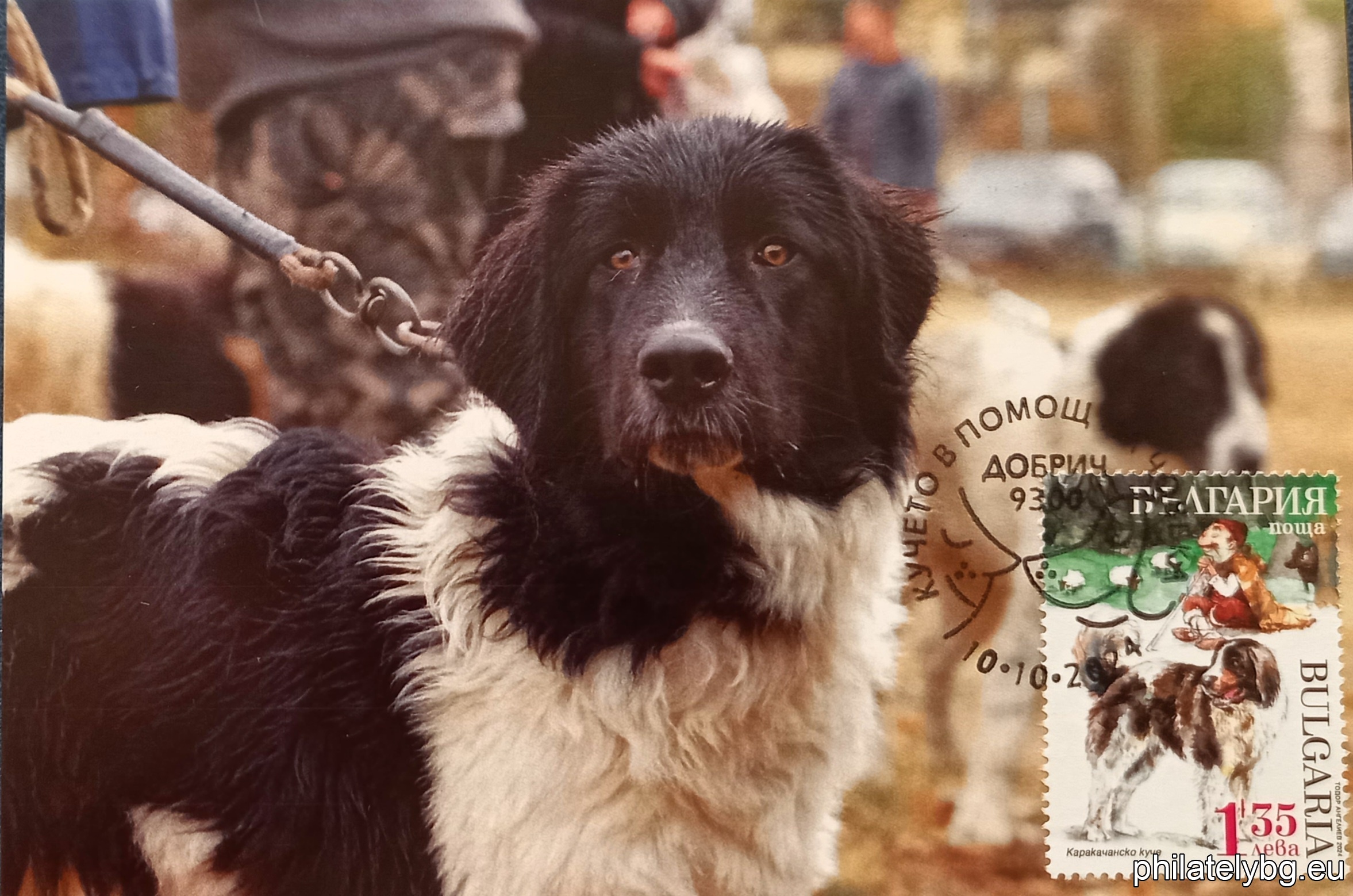 "Dogs Helping People" - four postage stamps in a block sheet and a special postage stamp.