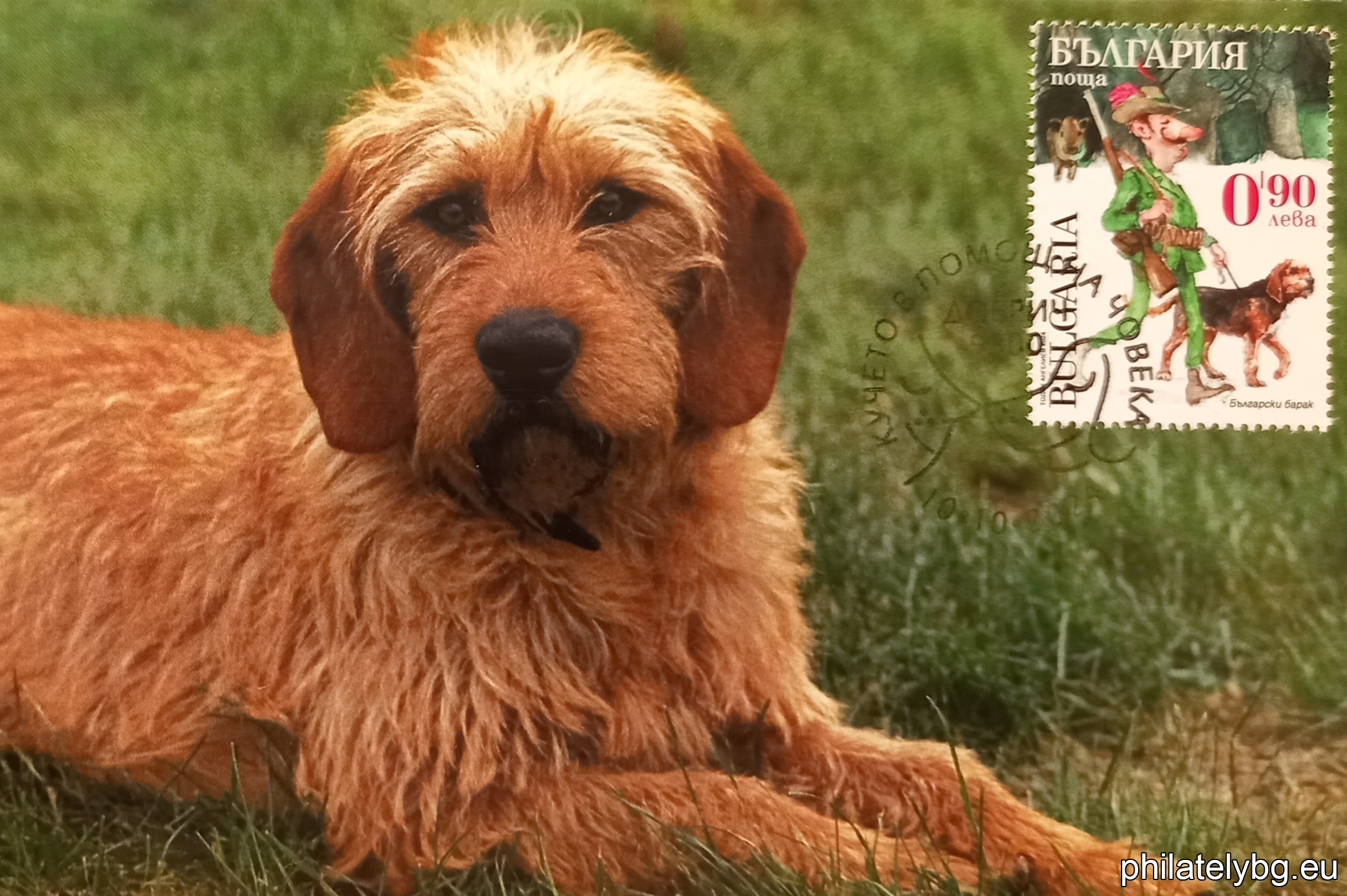"Dogs Helping People" - four postage stamps in a block sheet and a special postage stamp.