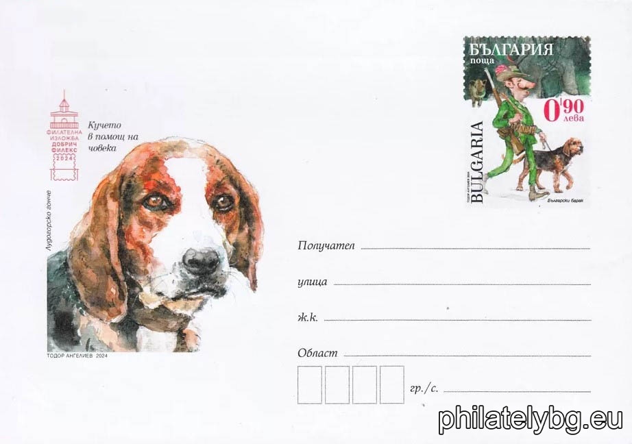 БК p20242